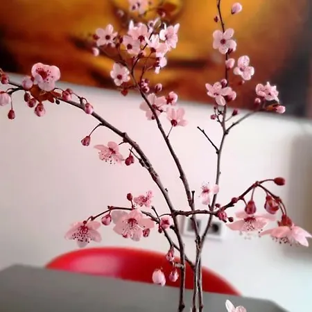 Zen - On Metro, Ultra Fast Wi-fi Apartament